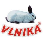 Vlnika